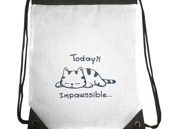 Is Impawssible