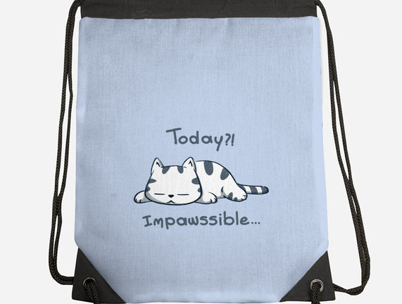 Is Impawssible