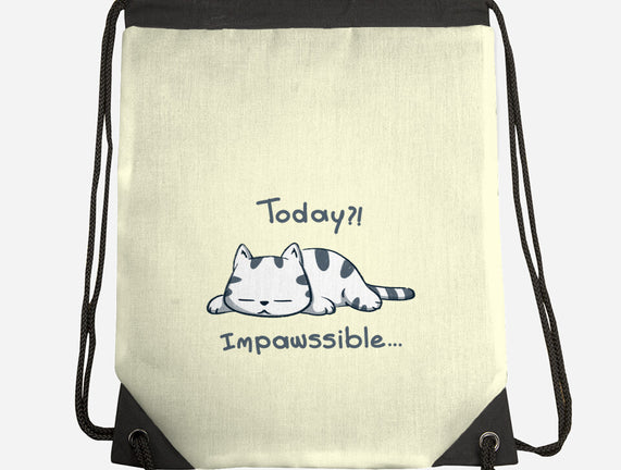 Is Impawssible