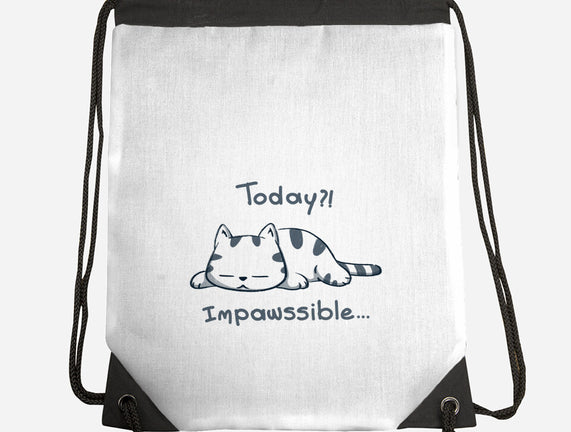 Is Impawssible