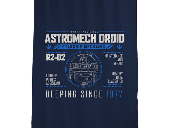 Starship Mechanic