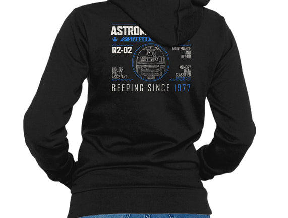 Starship Mechanic