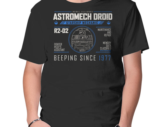Starship Mechanic