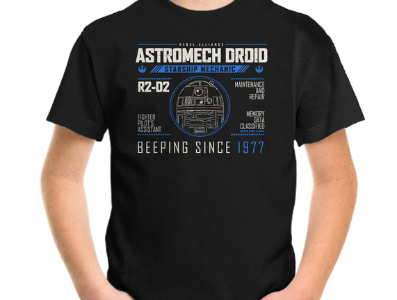 Starship Mechanic