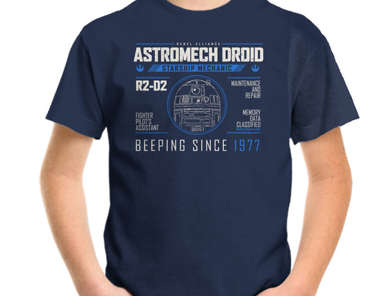 Starship Mechanic