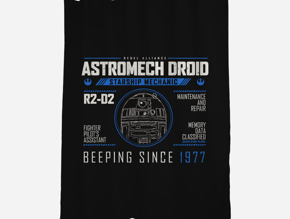 Starship Mechanic