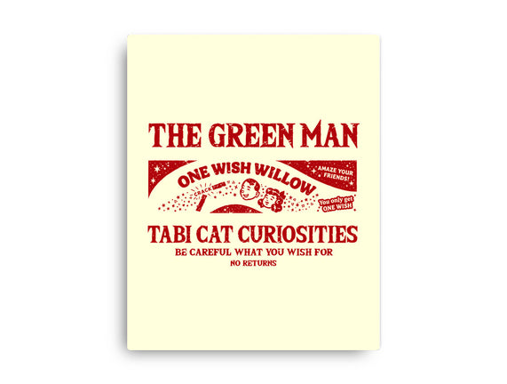 Tabi Cat Curiosities
