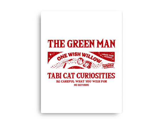 Tabi Cat Curiosities