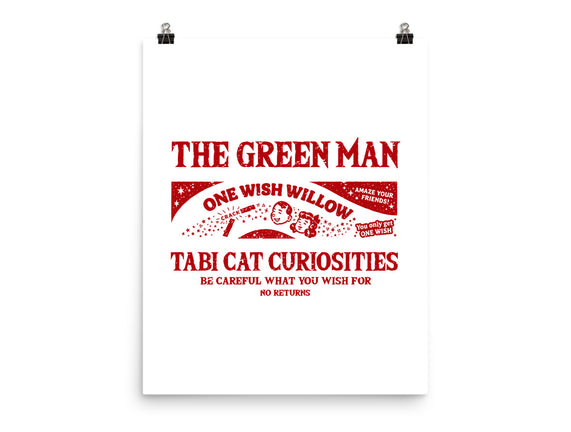 Tabi Cat Curiosities