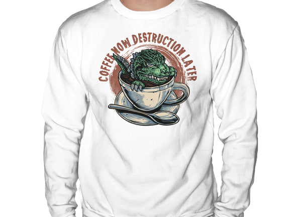 Destruction Later