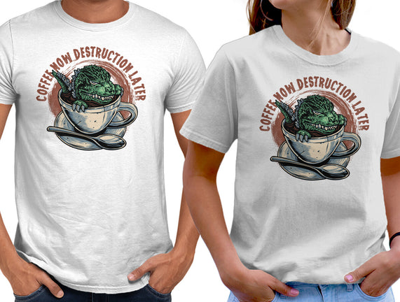 Destruction Later