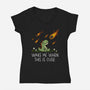This Seems Fine-Womens-V-Neck-Tee-benyamine12
