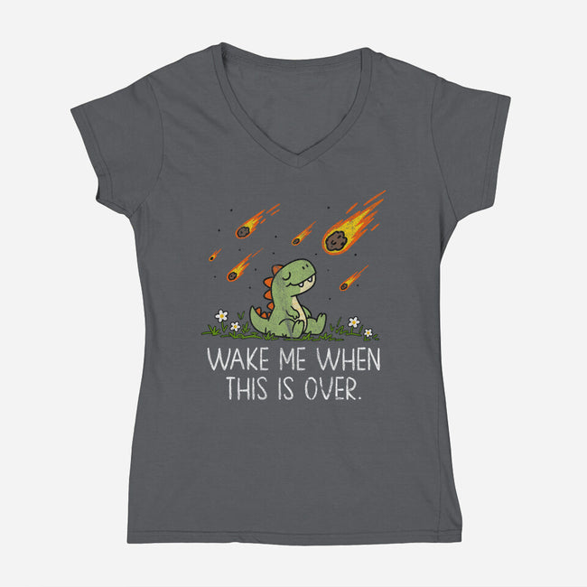 This Seems Fine-Womens-V-Neck-Tee-benyamine12