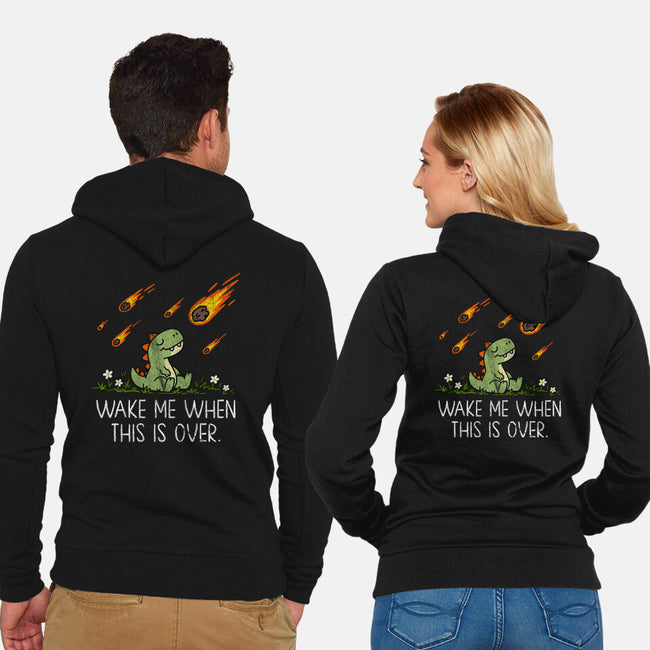 This Seems Fine-Unisex-Zip-Up-Sweatshirt-benyamine12