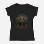After This Chapter-Womens-V-Neck-Tee-glitchygorilla