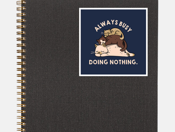 Always Busy Doing Nothing Cats
