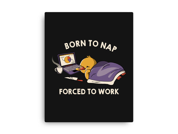Born  To Nap Forced To Work