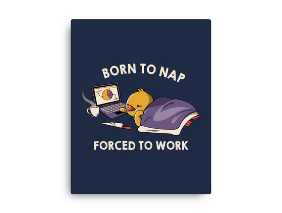 Born  To Nap Forced To Work
