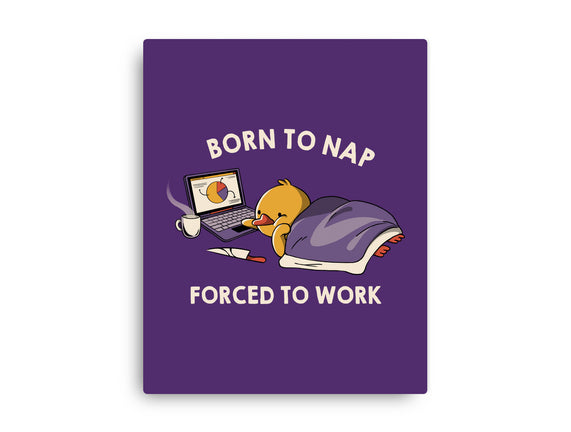 Born  To Nap Forced To Work