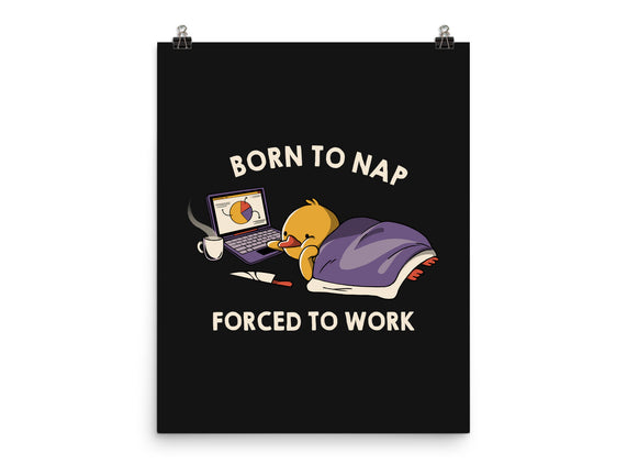 Born  To Nap Forced To Work