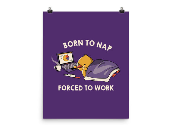 Born  To Nap Forced To Work