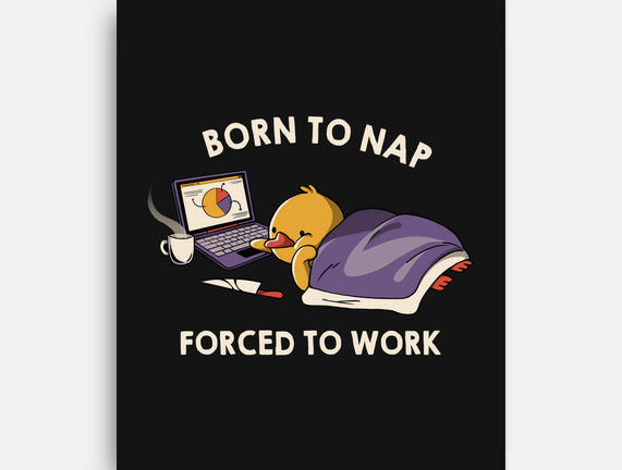 Born  To Nap Forced To Work