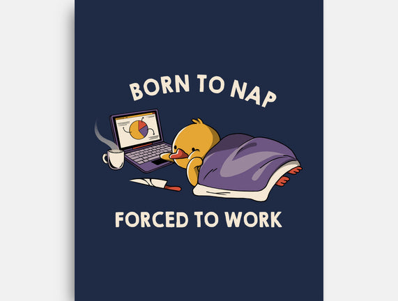 Born  To Nap Forced To Work