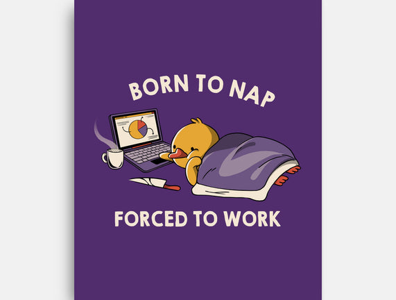 Born  To Nap Forced To Work