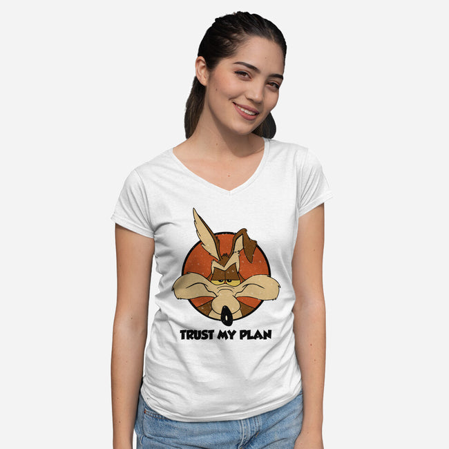 Trust My Plan-Womens-V-Neck-Tee-Melonseta
