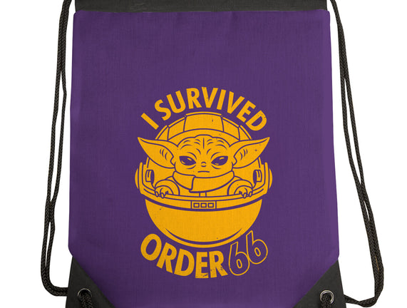 Survivor