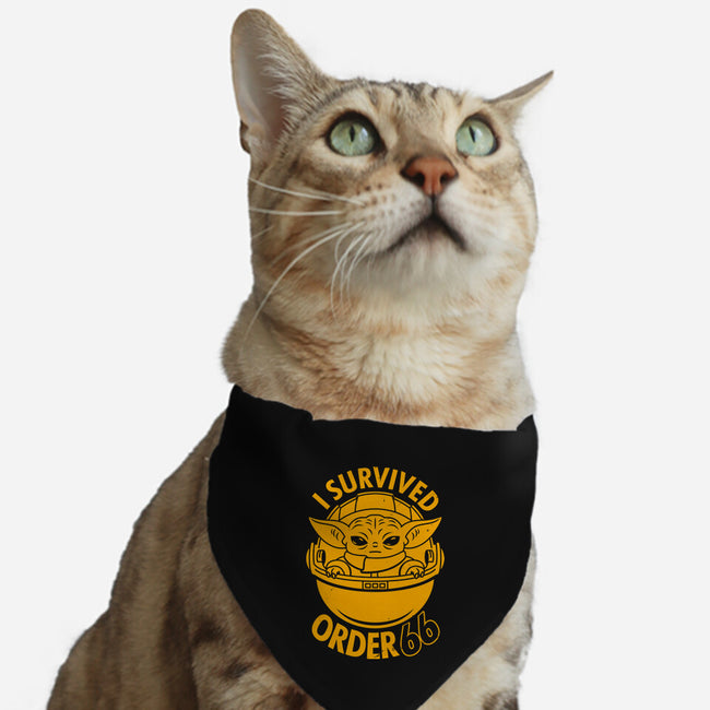 Survivor-Cat-Adjustable-Pet Collar-Boggs Nicolas