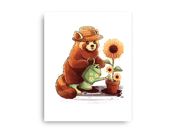 Red Panda Gardener