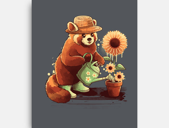 Red Panda Gardener