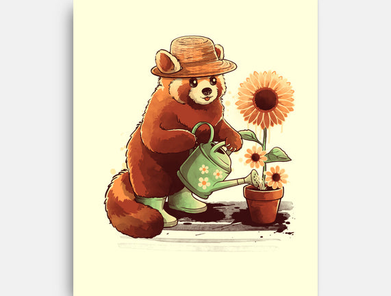 Red Panda Gardener