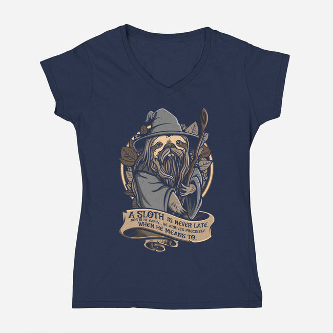 Sloth The Grey-Womens-V-Neck-Tee-Olipop