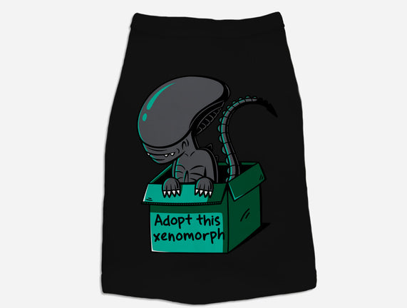 Adopt This Xenomorph