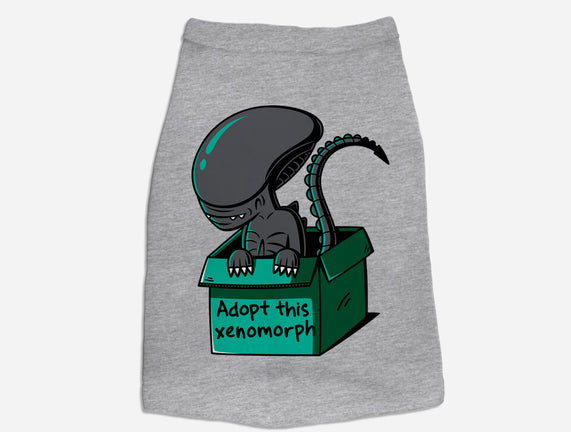 Adopt This Xenomorph