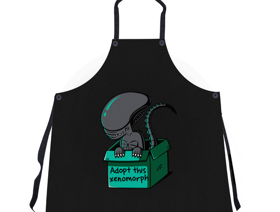 Adopt This Xenomorph