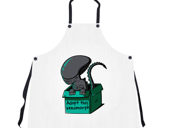 Adopt This Xenomorph