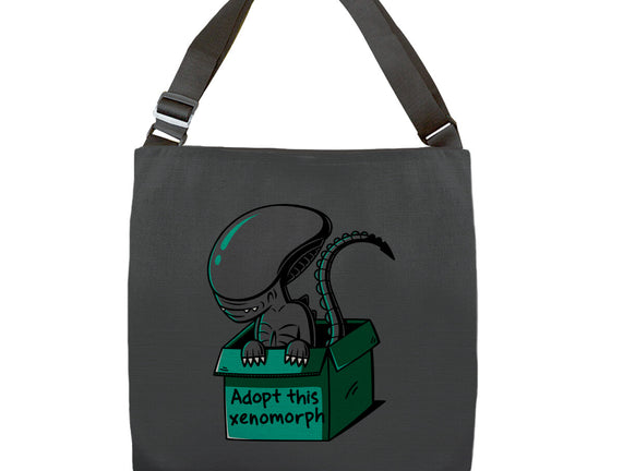 Adopt This Xenomorph