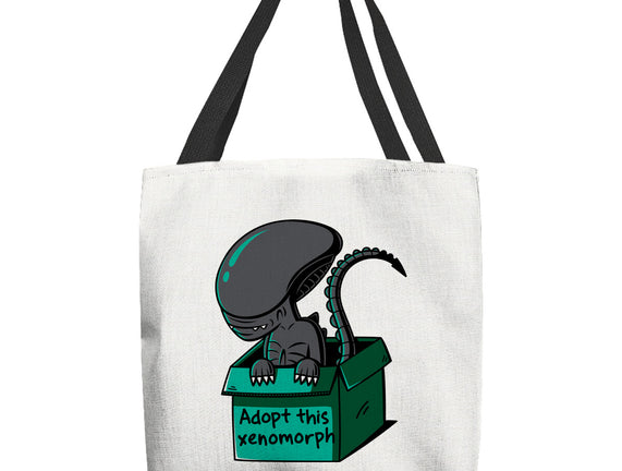 Adopt This Xenomorph