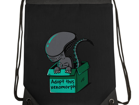 Adopt This Xenomorph