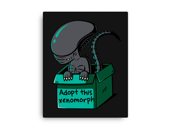 Adopt This Xenomorph