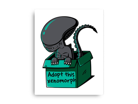 Adopt This Xenomorph