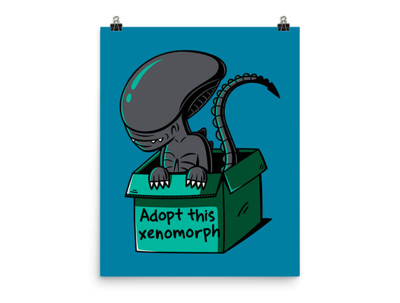 Adopt This Xenomorph