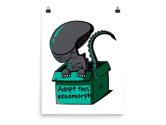 Adopt This Xenomorph