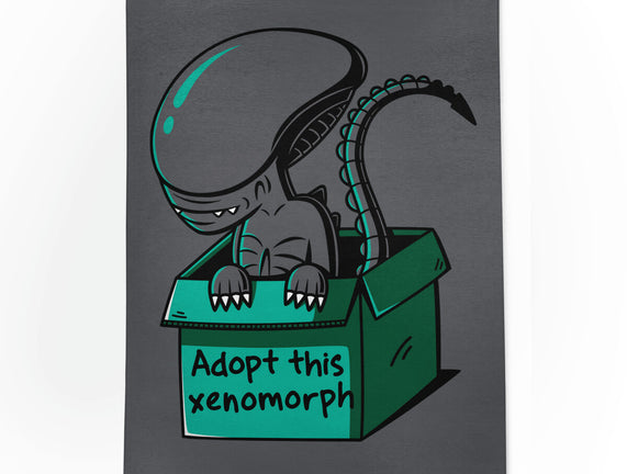 Adopt This Xenomorph