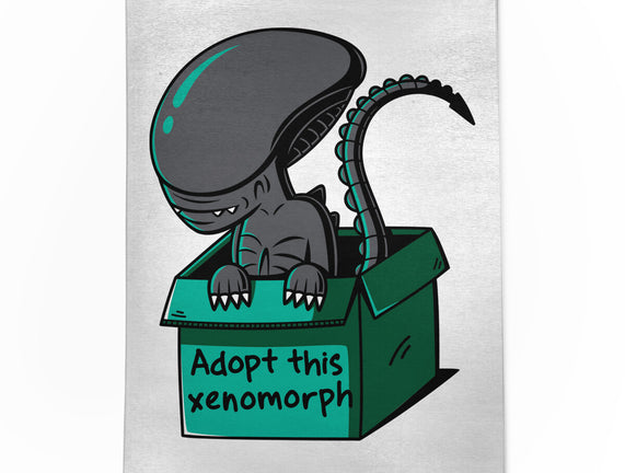 Adopt This Xenomorph