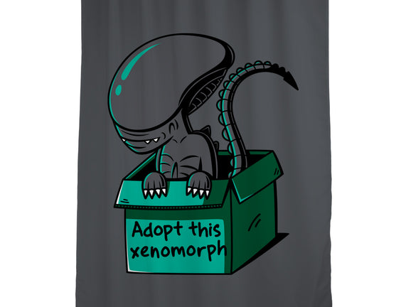 Adopt This Xenomorph