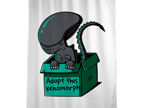 Adopt This Xenomorph